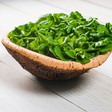 Oakleaf Lettuce Green 5oz